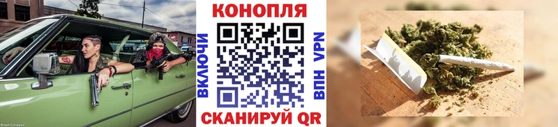 Канабис семена где найти наркотики Заречный